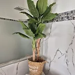 Apartamento Casa Roberto *